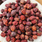 Hawthorn Berry | Crataegus monogyna