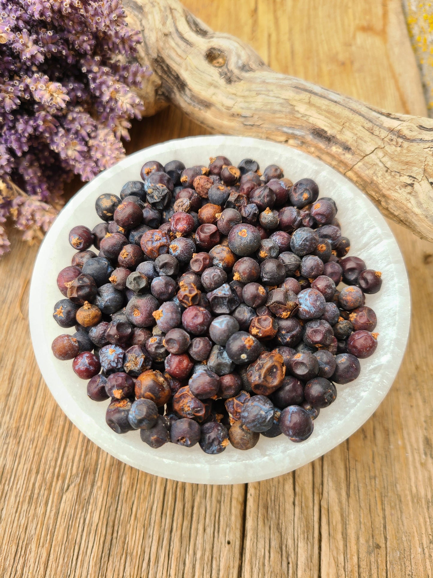Juniper Berries | Juniperus communis